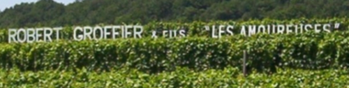 Domaine Robert Groffier Domaine Robert Groffier
